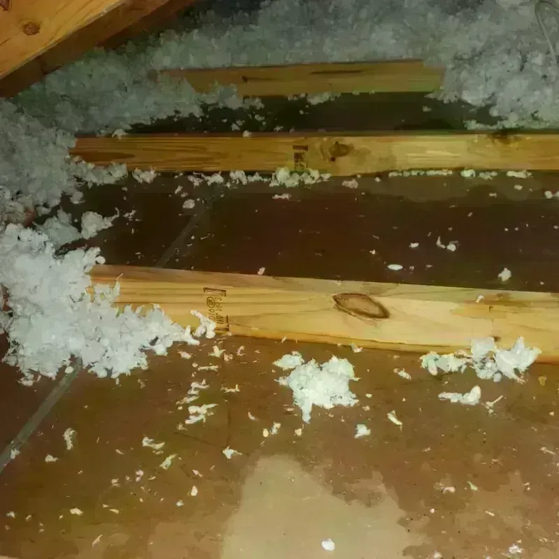 Attic Water Damage in Terra Mar, FL